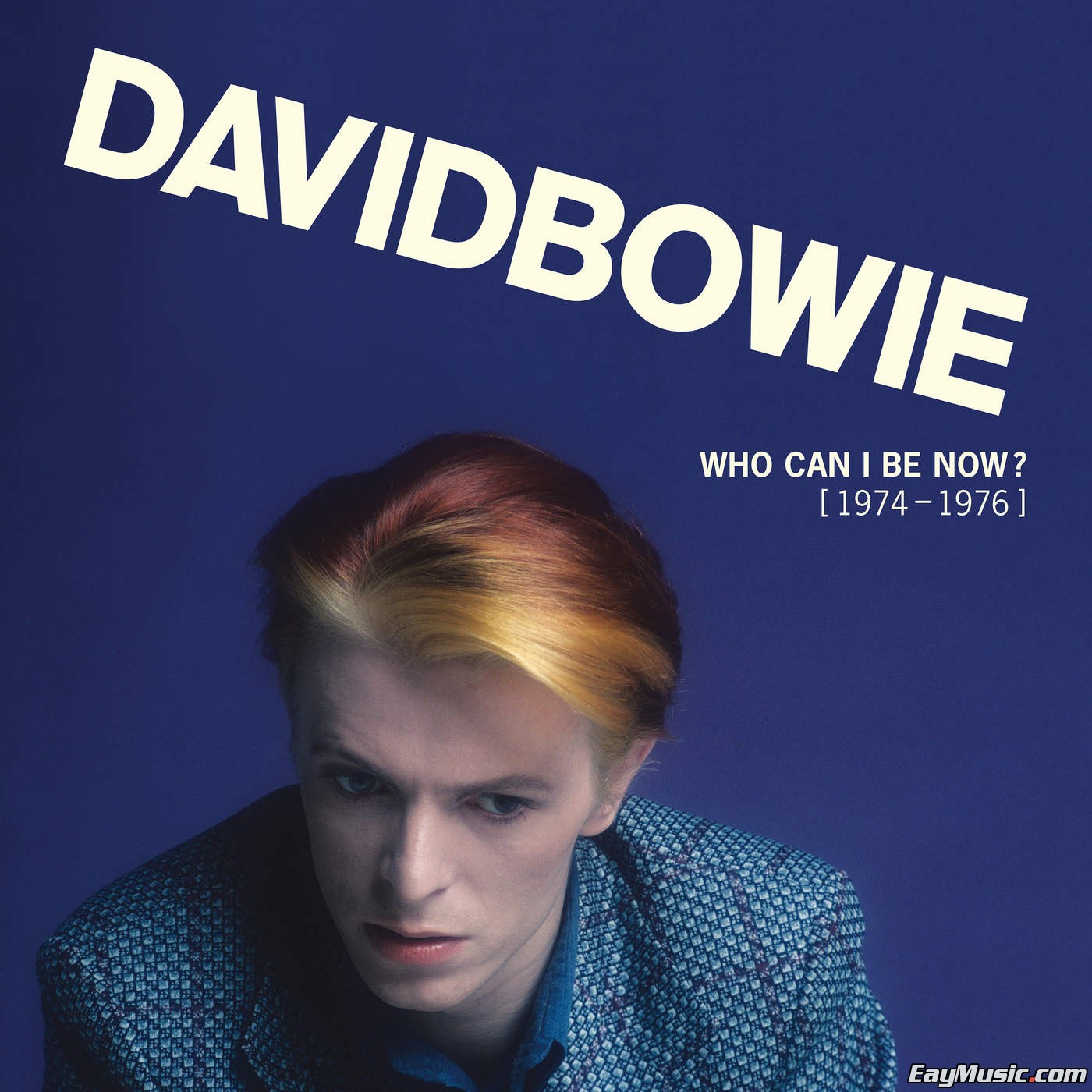 david bowie - who can i be now? (1974 - 1976)8cd