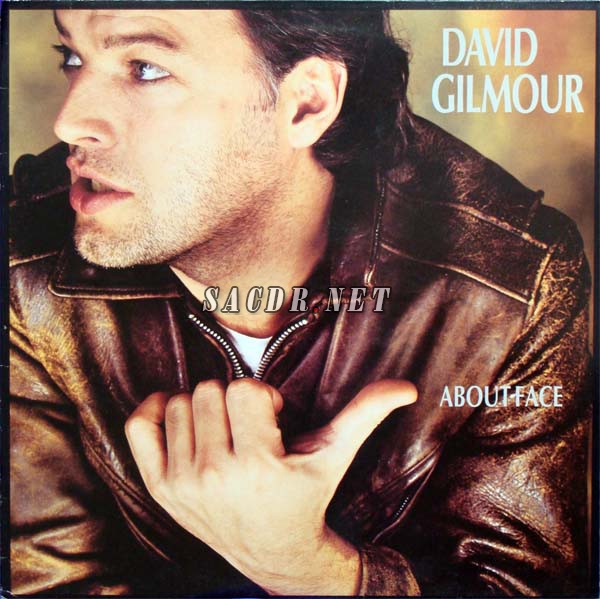 david gilmour - about face 1984[lp dsd128 sacd dsf 百度云]