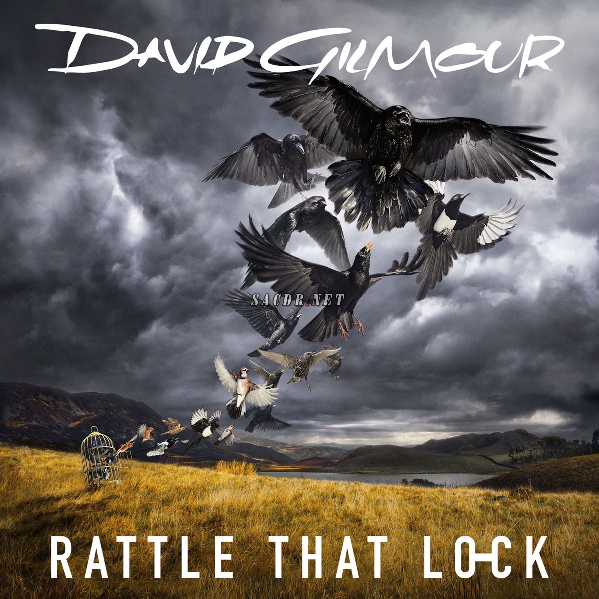 david gilmour - rattle that lock (2015) [24bit 96khz flac]