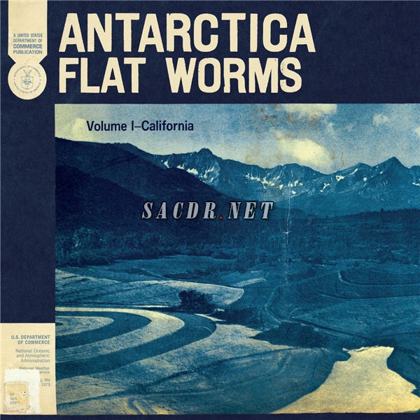 flat worms - antarctica (2020) [24bit 96khz flac]